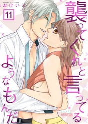 襲ってくれと言ってるようなもんだ 11