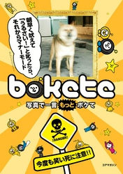 写真で一言もっとボケて