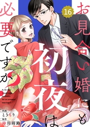 comic Berry’sお見合い婚にも初夜は必要ですか？16巻