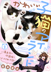 かわいい子猫のアイランド　～漫画家が保護猫を引き取った話～　ベツフレプチ（２）