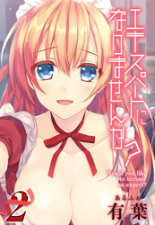 エキスパートになりませんか？(2)