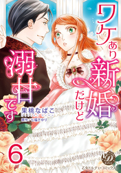 ワケあり新婚だけど溺甘です【分冊版】6