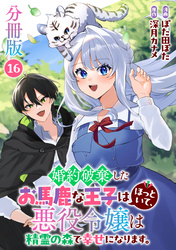 婚約破棄したお馬鹿な王子はほっといて、悪役令嬢は精霊の森で幸せになります。【分冊版】16