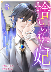 捨てられた妃　めでたく離縁が成立したので出ていったら、竜国の王太子からの溺愛が待っていました3巻