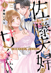 佐藤夫婦は甘くない～新婚ですが、シてません～ 【電子版限定特典付き】