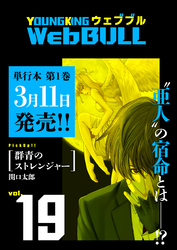 Web BULL19号