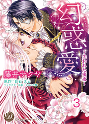 幻惑愛～失われた蜜夜～【分冊版】3
