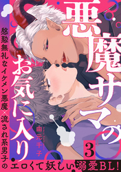 悪魔サマのお気に入り 分冊版 3