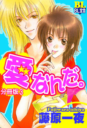 愛なんだ。 分冊版 3