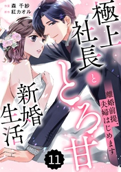 comic Berry’s離婚前提、夫婦はじめます～極上社長ととろ甘新婚生活～11巻