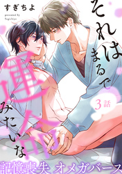 それはまるで運命みたいな 分冊版 3