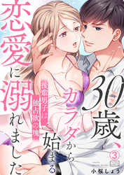 30歳、カラダから始まる恋愛に溺れました～後輩男子は独占欲の塊～(3)