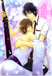 太陽の騎士 完結編