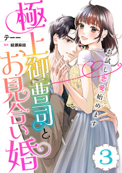 極上御曹司とお見合い婚～お試し恋愛始めます～【分冊版】3話