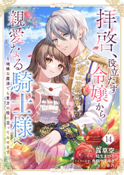 拝啓、役立たず令嬢から親愛なる騎士様へ～地味な魔法でも貴方の役に立ってみせます１４