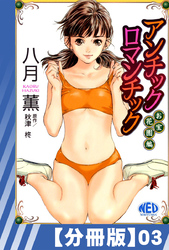 【分冊版】アンチックロマンチックお宝花園編（３）