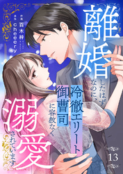 離婚したはずなのに、冷徹エリート御曹司に容赦なく溺愛されています１３