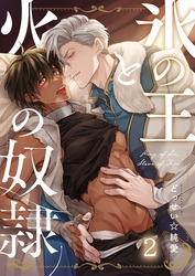 氷の王と火の奴隷２