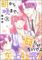朝から晩まで、困らせないでよ矢上社長！（分冊版）　【第3話】