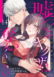 嘘つきヤクザは奪いつくしたい～甘い支配に濡れる蜜夜 14