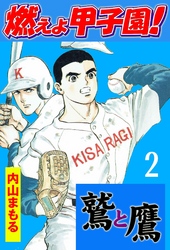 燃えよ甲子園！鷲と鷹2