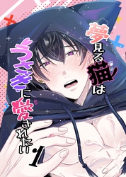 夢見る猫はうさぎに愛されたい