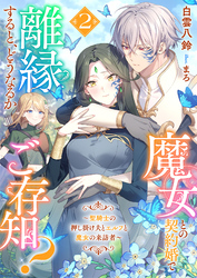 魔女との契約婚で離縁すると、どうなるかご存知？２～聖騎士の押し掛け夫とエルフと魔女の来訪者～