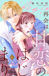 再会は甘恋のはじまり　分冊版（６）