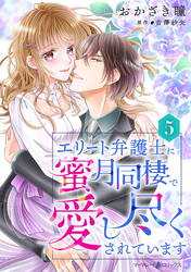 【期間限定　無料お試し版】エリート弁護士に蜜月同棲で愛し尽くされています【分冊版】5話