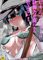 ビキニアーマーは防御力が高いから仕方ない！！【18禁】