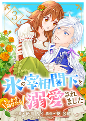 氷の宰相閣下をうっかり助けたら溺愛されました３