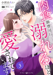 肉食御曹司に溺れるほど愛されています【分冊版】3話