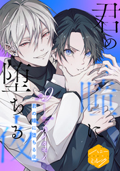 君の瞳に堕ちる夜　分冊版（９）