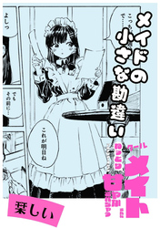 メイドの小さな勘違い