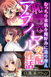 恥●なアブノーマル交配性活 ～むっちり柔肌を俺好みに造り替え～【CG集コレクション】 モザイク版