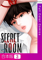 【合本版】SECRET ROOM【全年齢版】3巻
