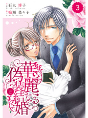 comic Berry’s 華麗なる偽装結婚3巻