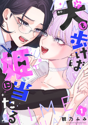 犬も歩けば姫に当たる【電子単行本】
