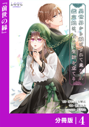 異世界から飛ばされて来た鑑定娘は、占いで生計を立てる【分冊版】４