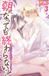 朝になっても終わらないっ！～初恋相手は金髪エリートでケダモノ～ 3